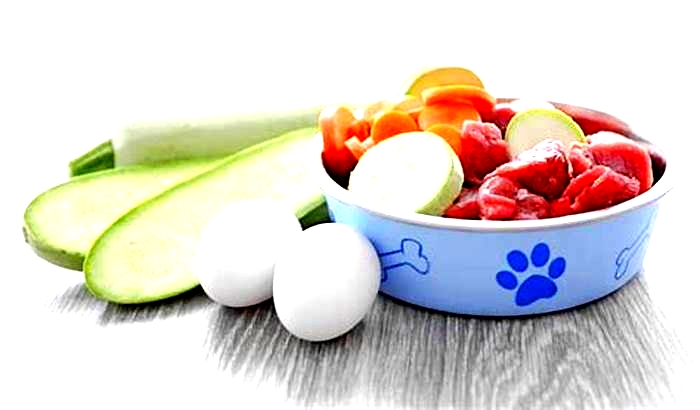 Superior Canine Nutrition Elevating Your Dog s Health with Raw Meals