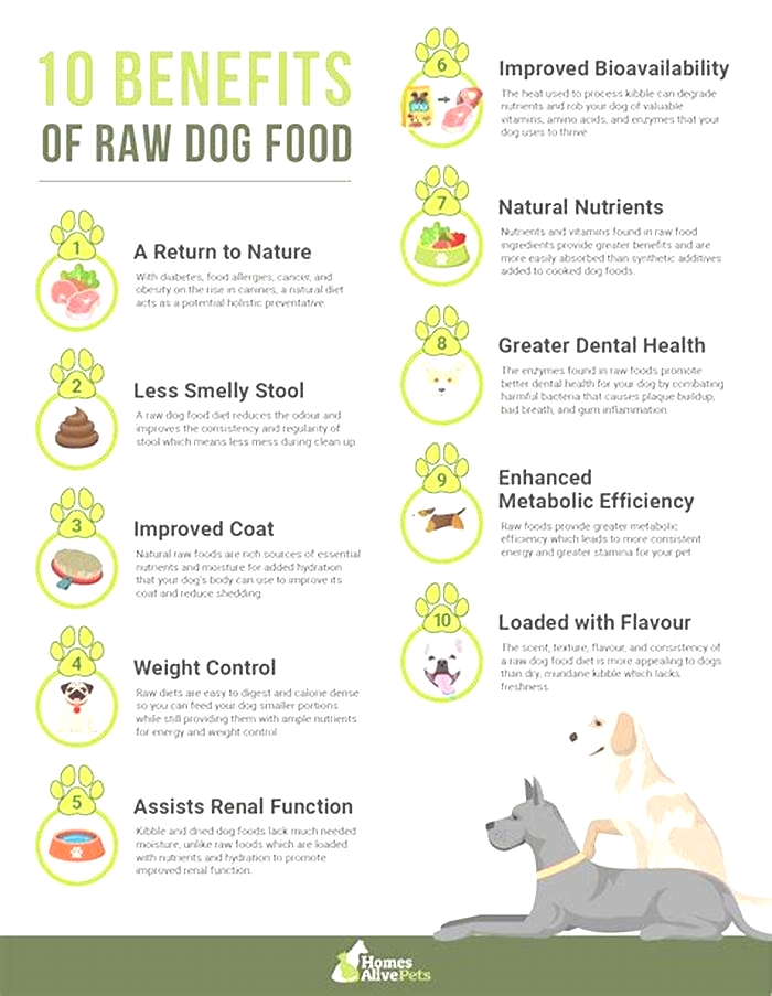 Superior Canine Nutrition: Exploring the Benefits of Raw Dog Food