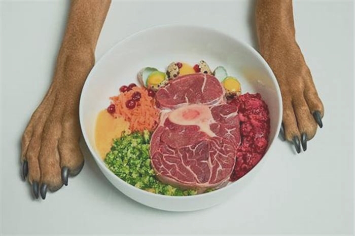 The Bark Buffet: Exploring the Diversity of Organic Dog Food