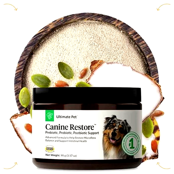 The Canine Cleanse: Revitalizing Your Dog's Diet and Overall Health with Pure, Organic Nutrition