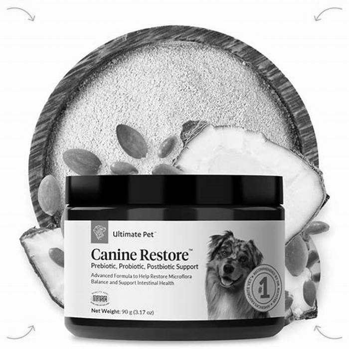 The Canine Cleanse: Revitalizing Your Dog's System with Detoxifying, Organic Nutrition