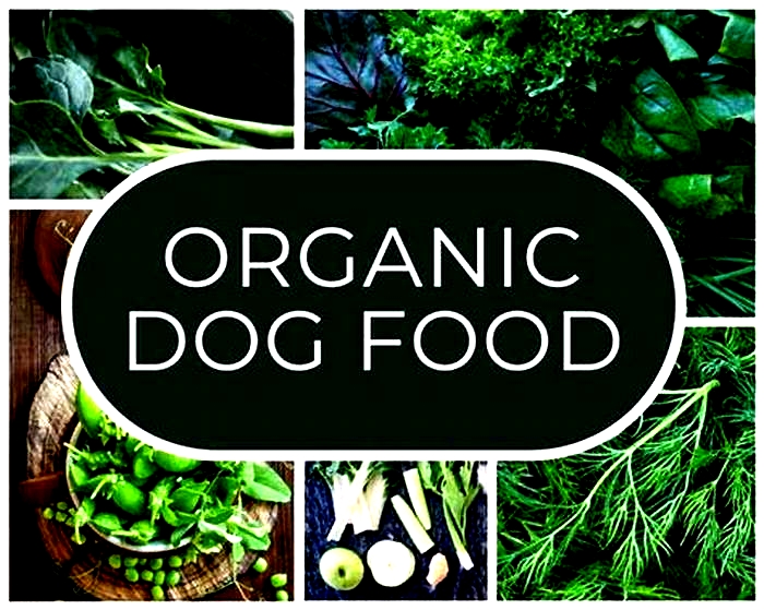 The Organic Advantage Providing Your Dog with Premium Nutrition for Optimal Health