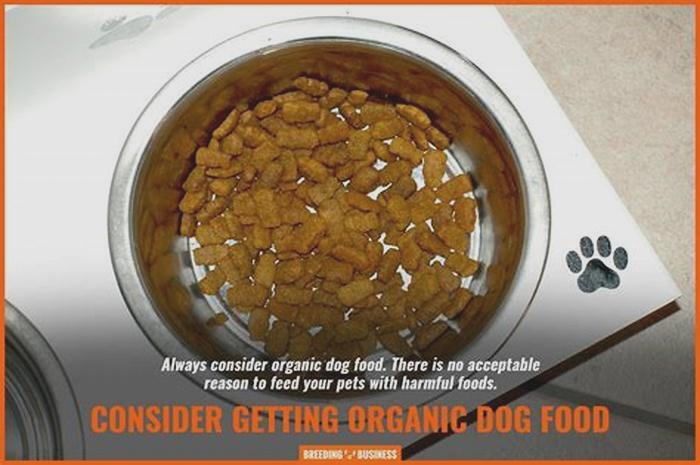 The Organic Edge: Discovering the Advantages of Organic Dog Food