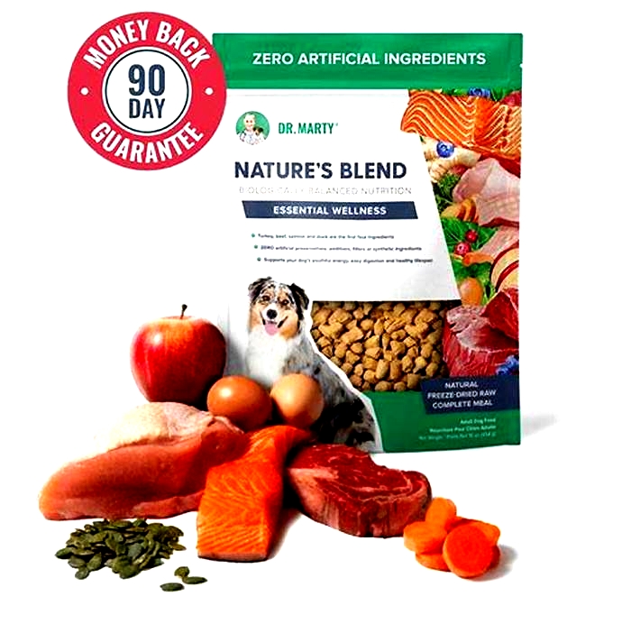 The Organic Edge Maximizing Your Dog s Health and Wellness with Superior Quality Organic Ingredients