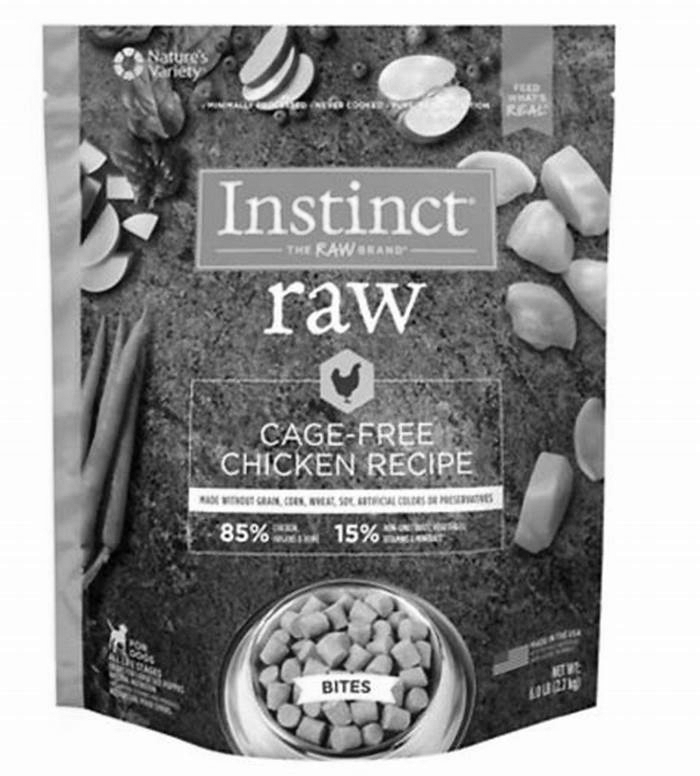 The Power of Raw Unveiling the Best Dog Food Choices