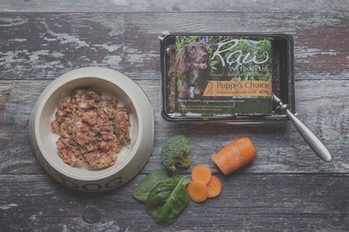 The Raw Advantage: Crafting Superior Raw Dog Food Choices for Your Pup