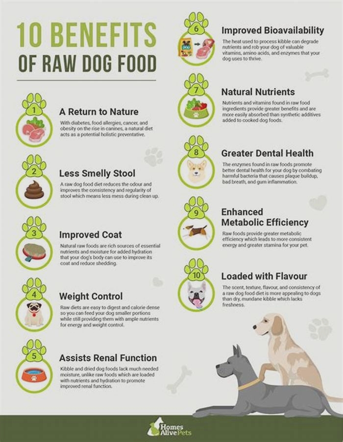 The Raw Advantage Fueling Your Dog s Health and Happiness