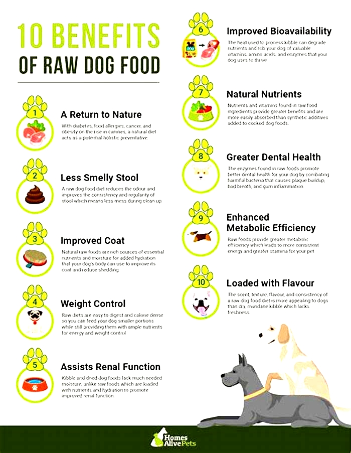 The Raw Advantage Unveiling Superior Dog Nutrition