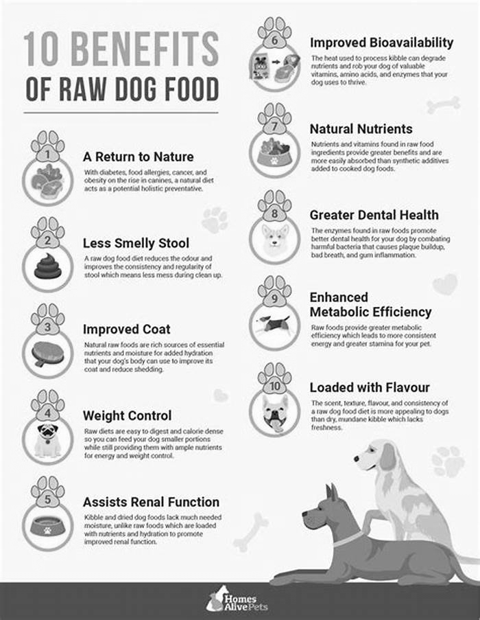 The Raw Advantage Unveiling the Benefits of Raw Dog Food