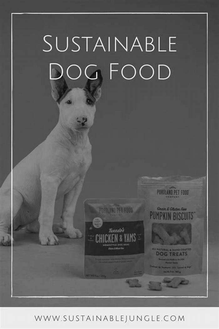 The Scoop on Sustainable Dog Food Going Organic