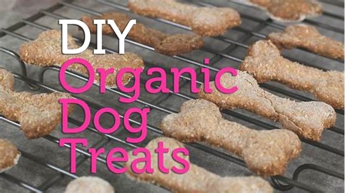 The Scoop on Sustainable Snacking Organic Dog Treats Explained