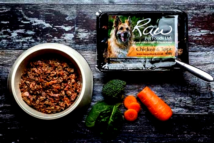 Unleash the Benefits: Exploring Top Raw Dog Food Choices