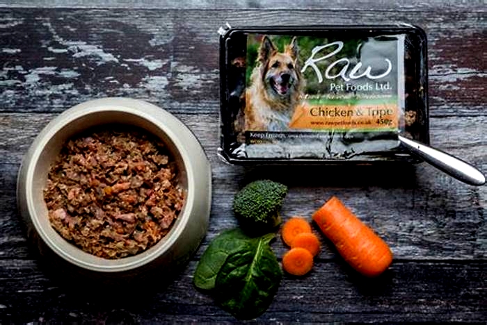 Unlocking Canine Wellness: Exploring Top Raw Dog Food Choices