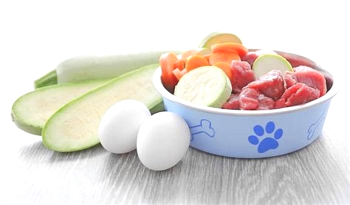 Unlocking Canine Wellness: Fueling Your Dog's Health with Premium Raw Food