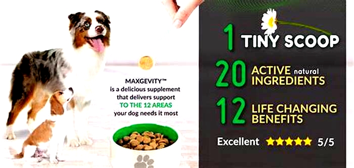 Unlocking Canine Wellness: Unveiling the Benefits of Premium Raw Nutrition