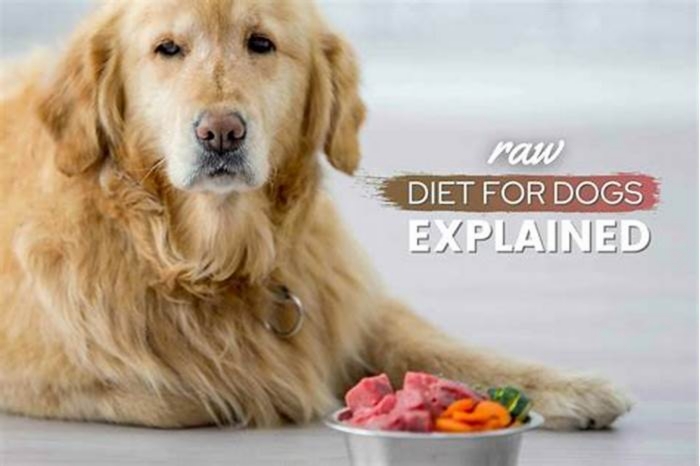 Unlocking Canine Wellness: Unveiling the Benefits of Raw Dog Nutrition