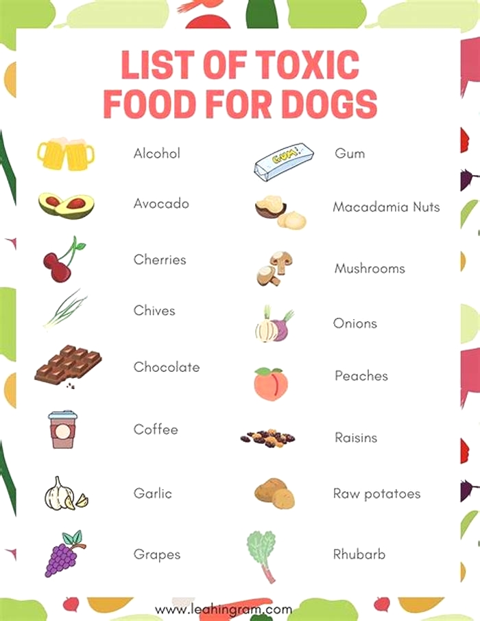 What are 3 foods bad for dogs?