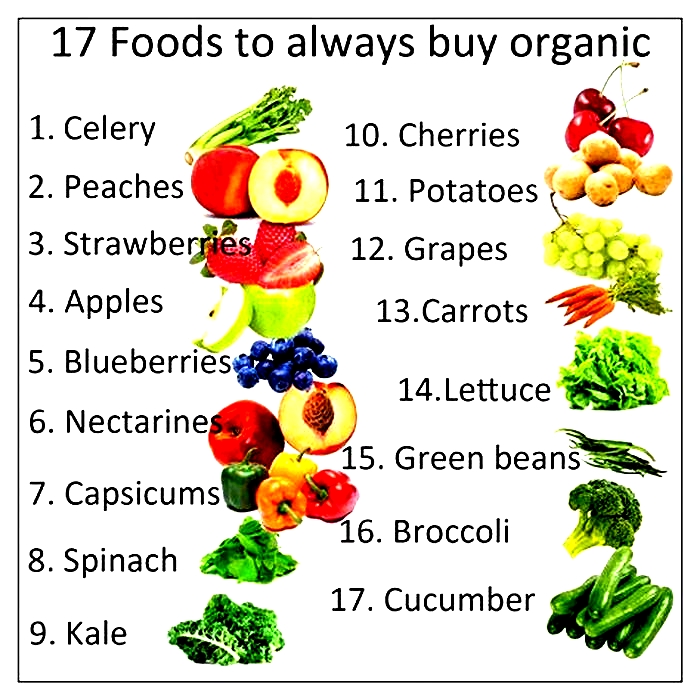 What are the 4 types of organic food