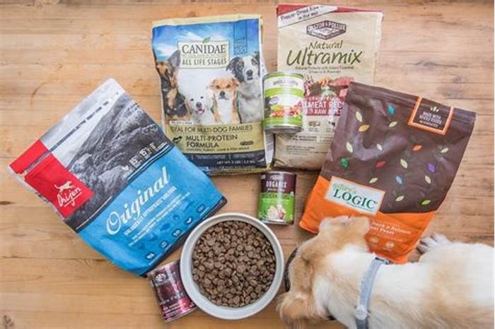 What are the three best dog foods?