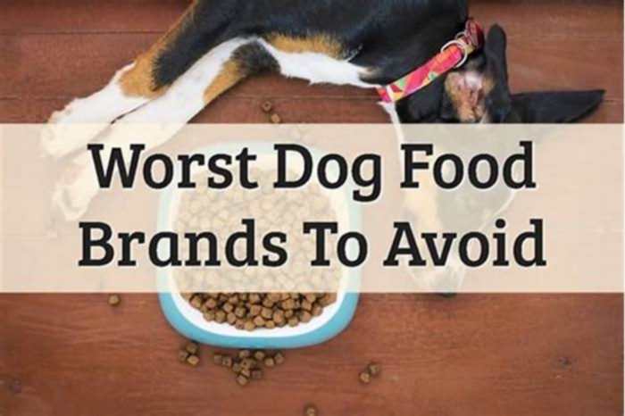 What brands of dog food should I avoid?