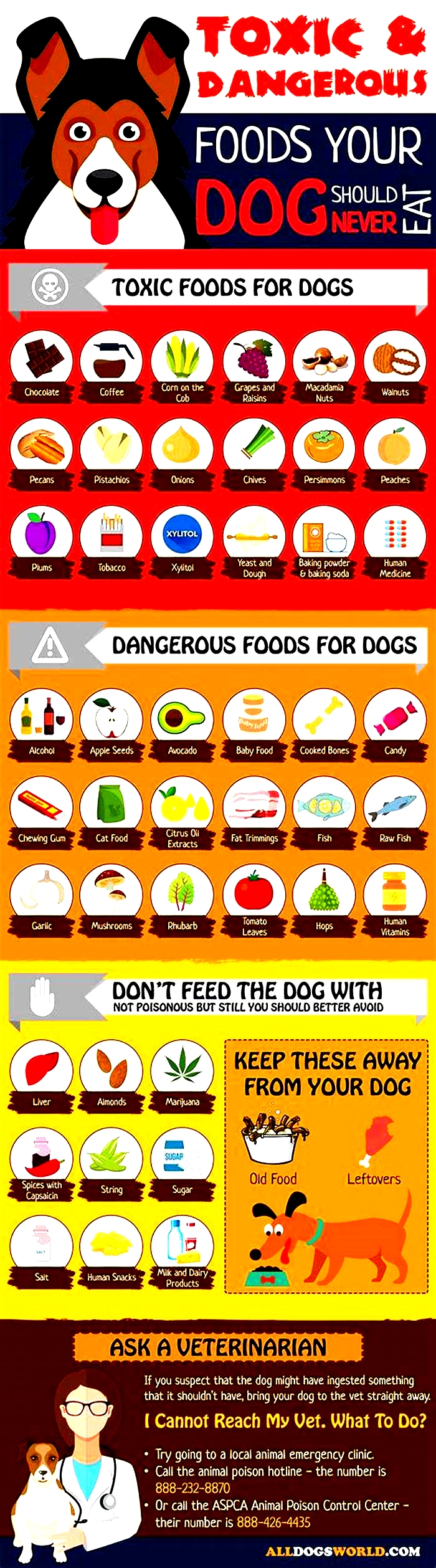 What dog food is currently killing dogs?