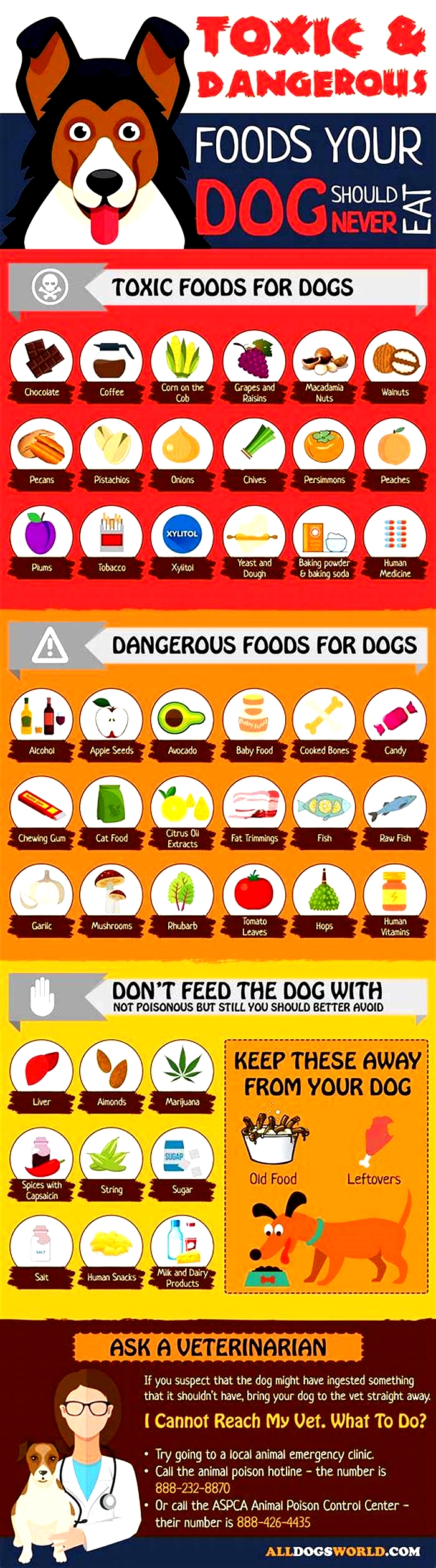 What dog food is killing dogs in 2024