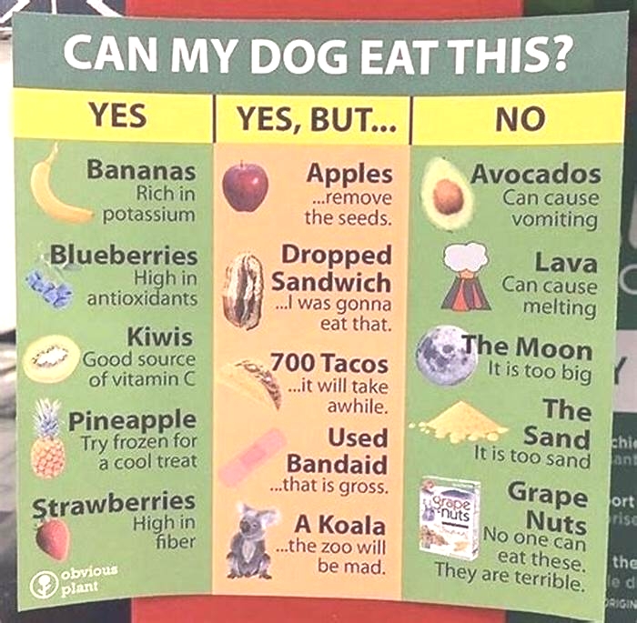 What dog food is not recommended