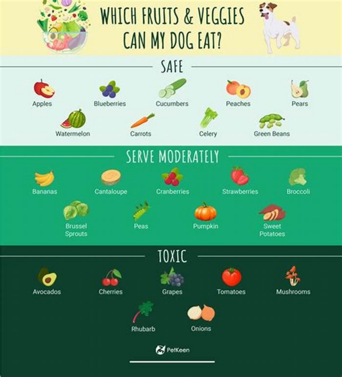 What foods are safe for dogs to eat everyday