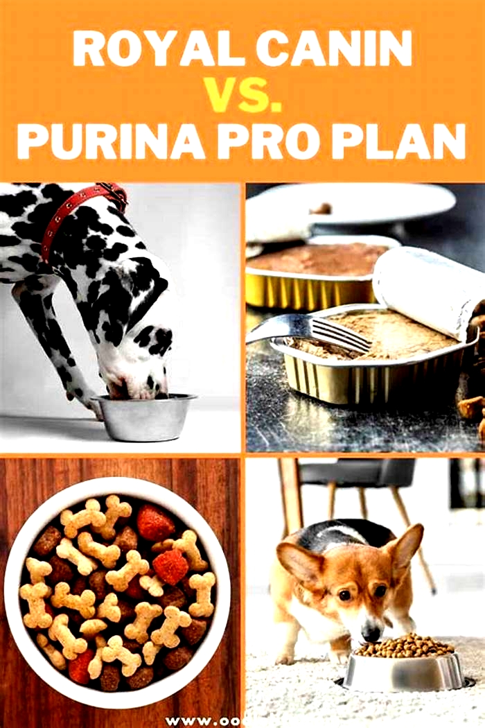 What is better, Purina or Royal Canin?