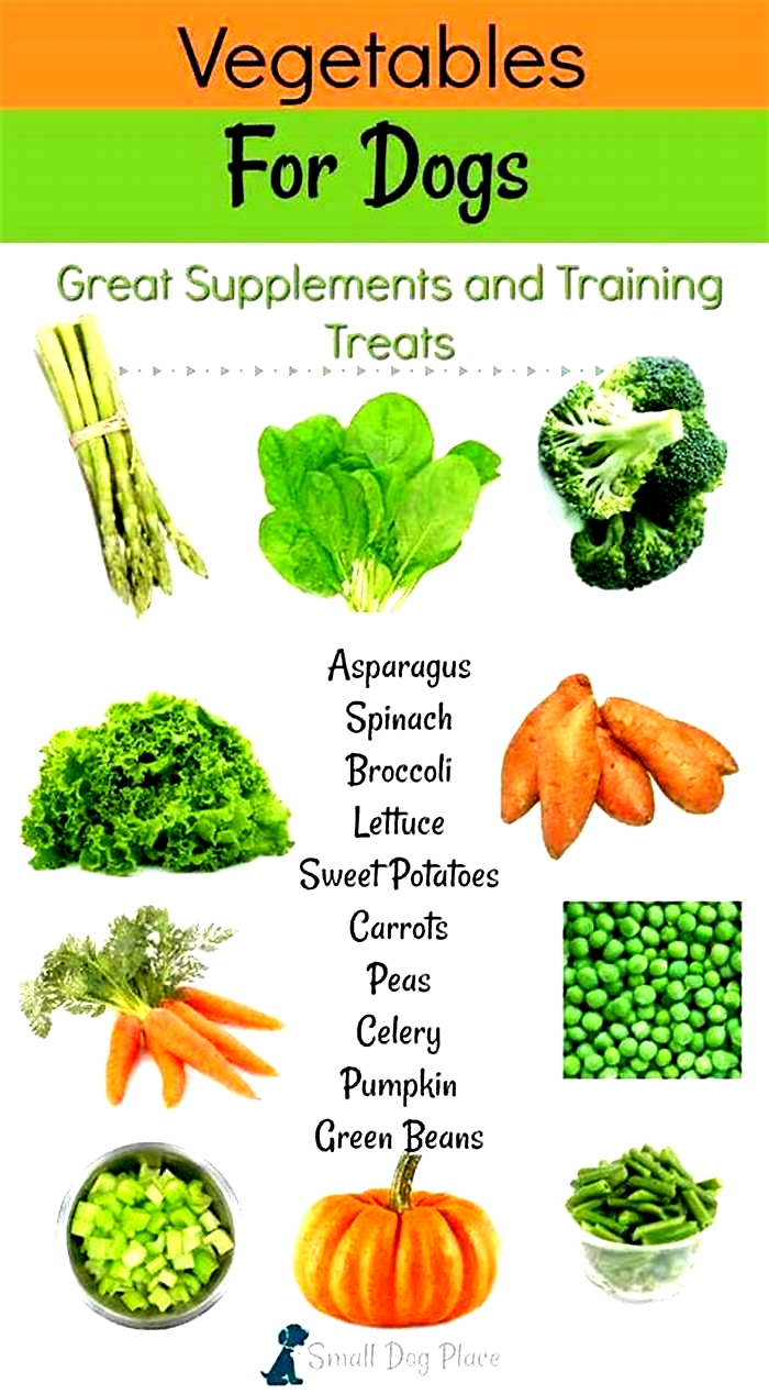 What is the best raw vegetable for dogs?