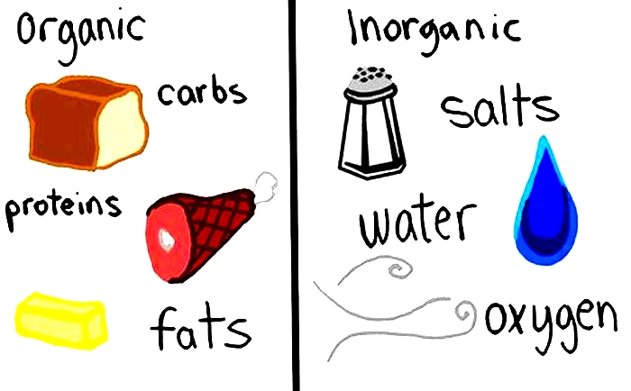 What is the difference between organic and inorganic food?