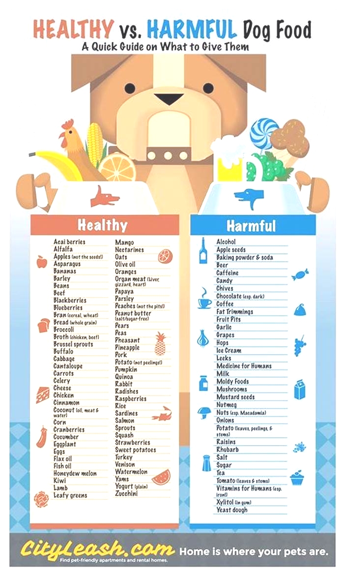 What meat is safest for dogs