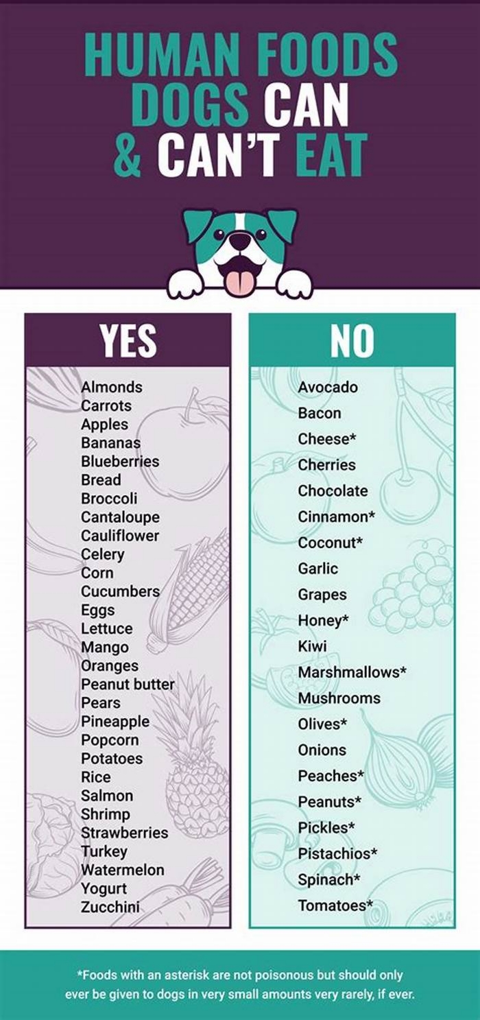 What meat should dogs not eat?