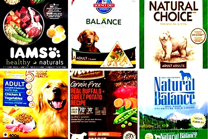 Which company dog food is best?