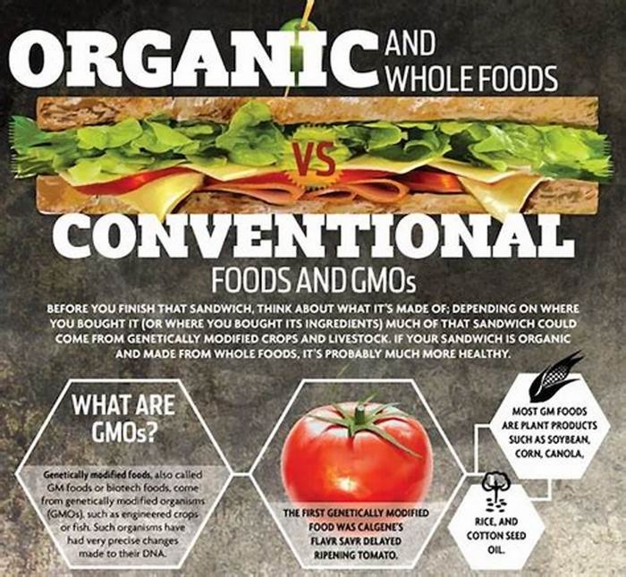 Which is better organic or regular food?