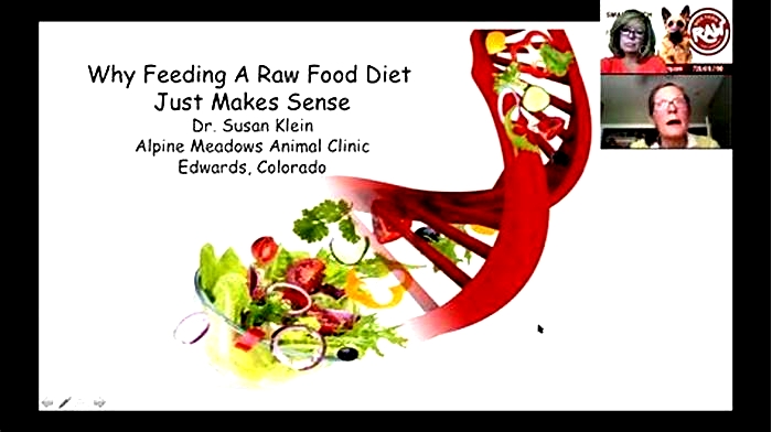 Why are vets against raw diets in the UK?