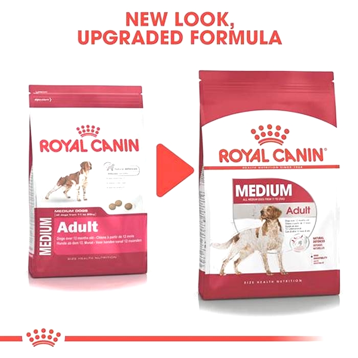 Why do dogs like Royal Canin so much?