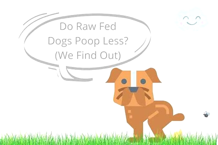 Why do raw fed dogs poop less?