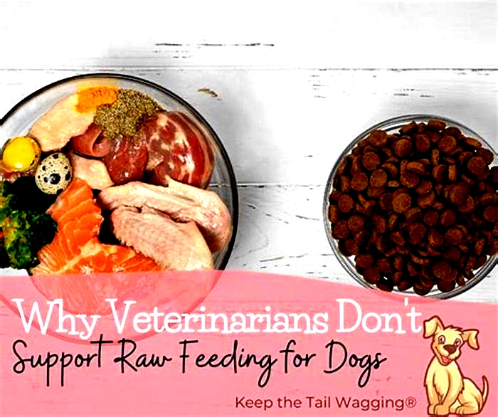 Why do vets say not to feed raw