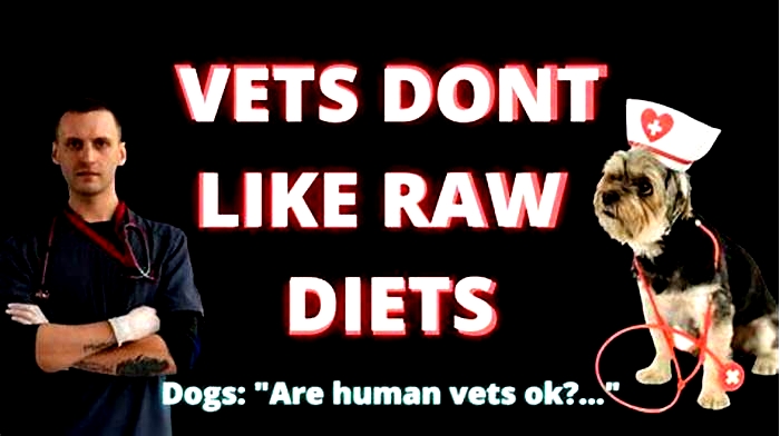 Why don't vets recommend a raw diet?