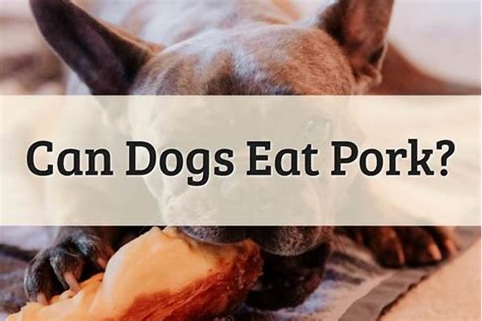 Why is pork not good for dogs