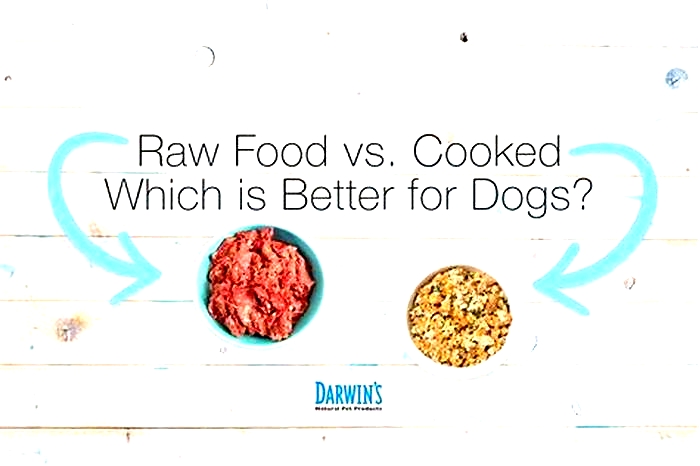 Why is raw better than cooked for dogs