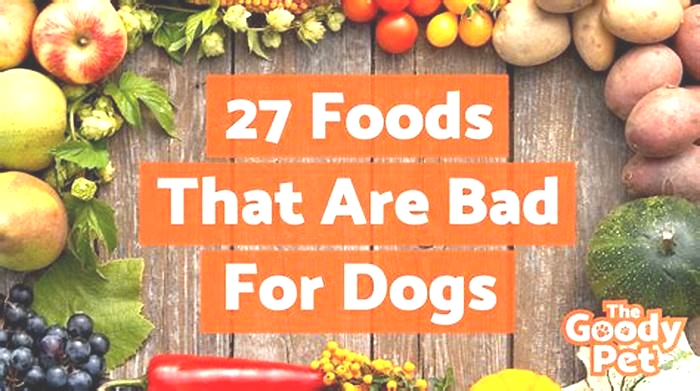 Why is raw food bad for dogs