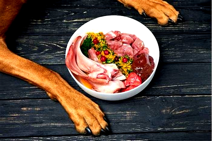 Why is raw food better for dogs?